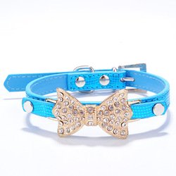 Blue-bowknot